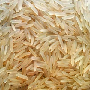 1509 Golden Sella Rice